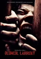 Ölümcül Labirent Poster