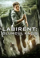 Labirent: Ölümcül Kaçış Poster