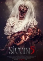 Siccin 5 Poster
