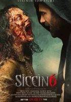 Siccin 6 Poster