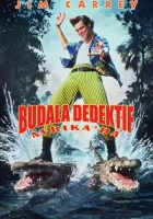 Budala Dedektif 2: Afrika'da Poster