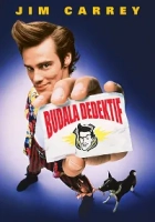 Budala Dedektif Poster
