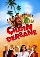 Çılgın Dersane Poster
