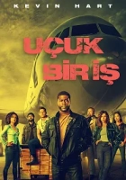 Uçuk Bir İş Poster