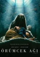 Örümcek Ağı Poster