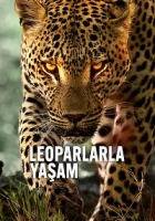 Leoparlarla Yaşam Poster