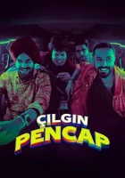 Çılgın Pencap Poster