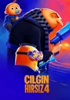Çılgın Hırsız 4 Poster