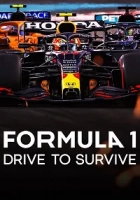 Formula 1: Drive to Survive Poster