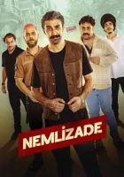 Nemlizade Poster