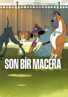 Son Bir Macera Poster