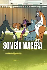 Son Bir Macera Poster